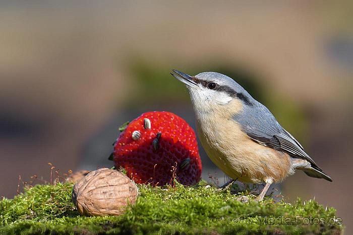 Obsttag