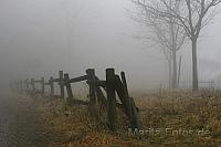 November Nebel